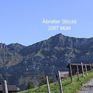 Panorama Flüelen II