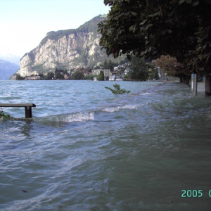 Bild 093