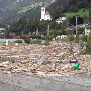 Bild 101